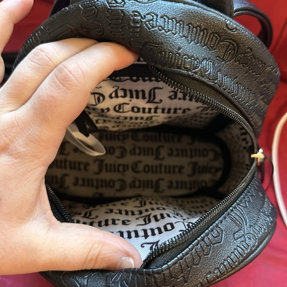 Small Juicy Couture Bag. - Picture 2 of 3